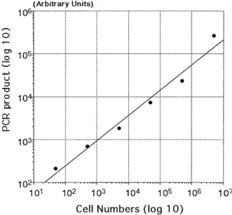 Figure  1.  Relationship  between  telomerase  activity  measured  in  HepG2  cell  extract  and  PCRa  product