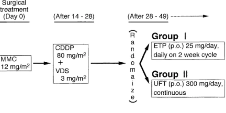 Fig.  1  Regimen  of  treatment  methods  in  Group  I  (etoposide)  and  Group  II  (UFT).