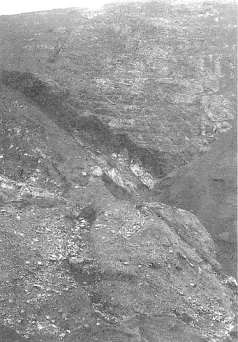 図 3 . 赤富ケ谷の断層(走向問。。巳傾斜40.50 0 W)  ( 断 j 替の右側は瀬戸)1 1 層群の頁岩層型左側は竜瓜層 ある) この露頭から北方を見ると、 NI00 E 方向に勧昌院坂の I1 1 予(ケルン・パット)が見え、断層はそこ に続いていると考えられる O また、この構造線は南下して高草山付近を通って西に向きを変え、藤 枝方面に続く O 蛇足であるが、この露頭下の道路の側面には、頁岩、砂岩、チャートからなる瀬戸 J l I 層群が激しく摺曲している露頭が観察できる O ちなみに糸魚川&