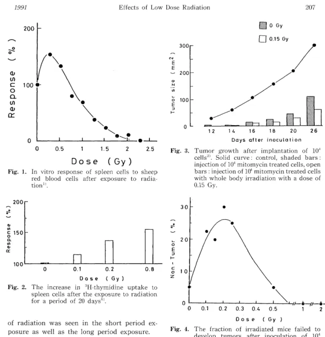 Fig.  2.  The  increase  in  3H-thymidine  uptake  to        spleen cells  after the  exposure to  radiation 
