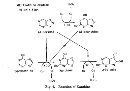 Fig.  9.  Reaction  of  Xanthine
