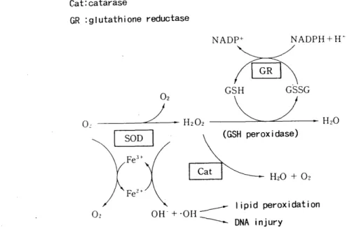 Fig.  10.  Reaction  of  glutathione