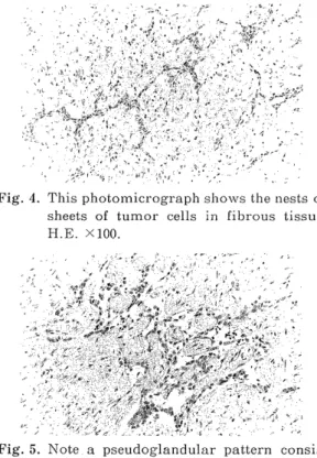 Fig.  4.  This  photomicrograph  shows  the  nests  or 