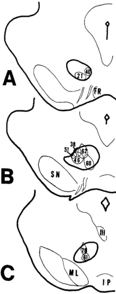 Fig.  1.  Drawings  of  the  extent  of  the  injection  sites  of  HRP  in  the  red  nucleus.