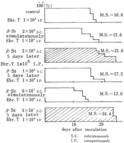 Fig  1.  Comparison  of  survivals  in  a  1 x  106 Ehrlich  tumor-bearing  mice  infected         with  n-streptococcus S23 in  relation  to  either  its  timing  or  mode.