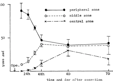 Fig.  5  The  time  course  of  distribution  of  labeled  hepatocytes  in  lobules  in  normal  hepa-        tectomized  group 