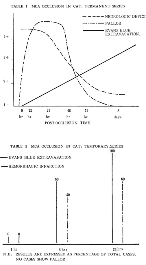 TABLE  1  MCA  OCCLUSION  IN  CAT:  PERMANENT  SERIES