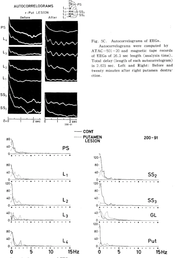 Fig.  5C.  Autocorrelograms  of  EEGs. 