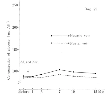 Fig.  5.  The  glucsse  output  from  the  liver  after  the  adrninistration  of  mixed  each          100,ig/kg  of  adrenaline and  noradrenaline in  the  CHCIa-intoxicated dog.