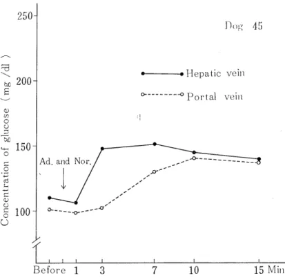 Fig.  6.  The  glucose  output  from  the  liver  after  ;the  administration  of  mixed  each                100ug/kg  of  adrenaline and  noradrenaline in  the  dog 