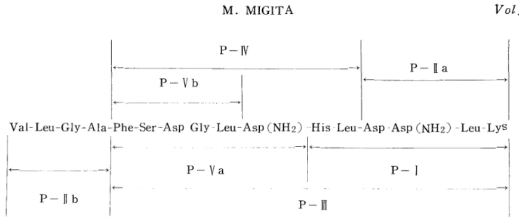 Fig.  3  Chromatography  of  peptic  peptides  of  f T13  on  Dowex  1 x 2           Column  :  1.0  x  60cm