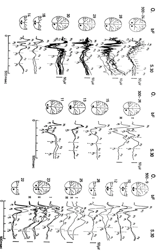 Fig.  1.1.  Average  photically  evoked  potentials  in  the  cerebral  visual  cortex  of  mon-