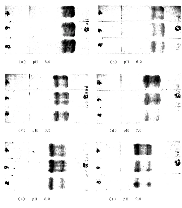 Fig.  9.  Effects  of  pH  of  Electrophoretic  Veronal  Buffers  on            Electrophoresis 