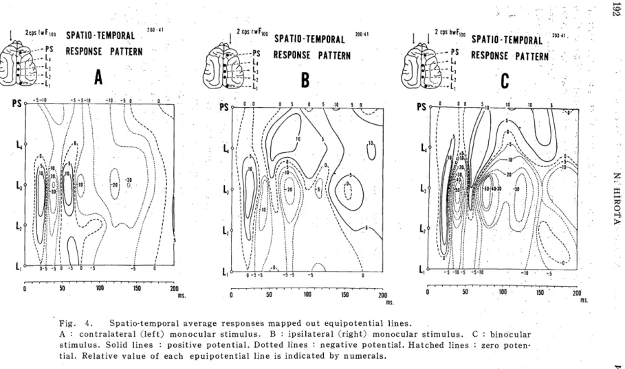 Fig.  4.  Spatio-temporal  average  responses  mapped  out  equipotential  lines. 