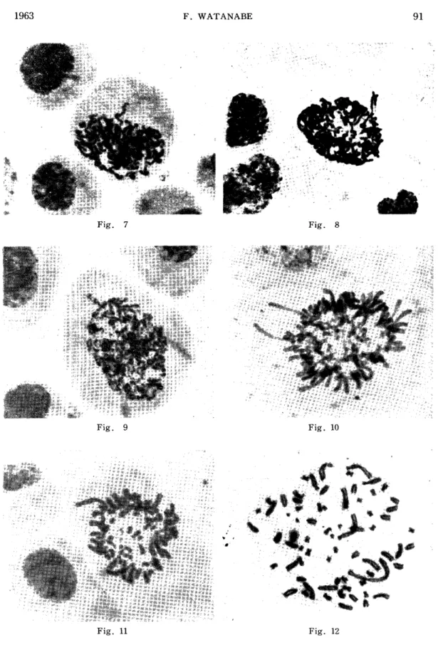 Fig.  7  Fig.  8