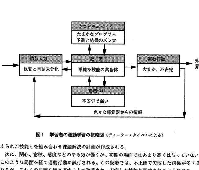 図 1  学習者の運動学習の概略図 (デ ィーター 0タ イペルによる ) え られた技能 とを組 み合 わせ課題解決の計画が作成 され る。 次 に、関心 、意欲 、態度 などのや る気 が働 くが、初期 の場面 で はあま り高 くはなっていない。 このよ うな局面 を経て運動行動が試行 され る。この段階では、不正確で失敗 した結果が多 く表 れ るが、 これ らの局面 を繰 り返す ことで改善 され、安定 した技能が形成 され るよ うになる。 以上 のよ うに、 5つ の局面 の機能を繰 り返す 