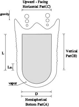 Fig. 1: Film boiling model