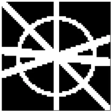 図 1 画像の表現の方向特異性 Directional singularity of image representation.