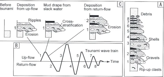 Fig. 1　Schematic tsunami depositional model considering the tsunami waveform (Fujiwara, 2007)