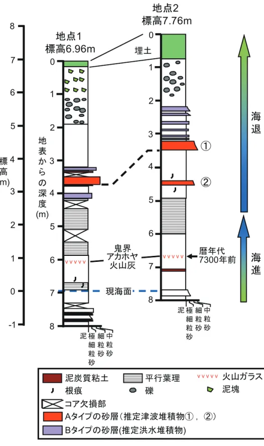 Fig. 4　Columnar sections of cores from sites 1 and 2.
