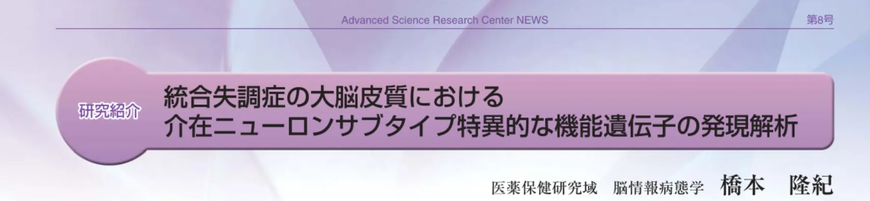 図 3 それぞれの mRNA を発現する細胞をヒト健常例の大脳皮質でマッピングした結果。赤 は 35 S 標識プローブでラベルされる KCNS mRNA あるいは LHX6 mRNA 陽性細胞、