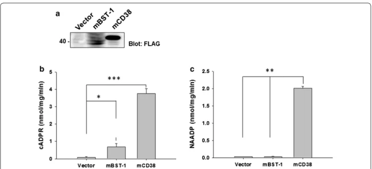 Fig. 6  Behaviors of wild‑type (C57BL/6 N for CD157 and ICR for  CD38) or CD157 and CD38 knockout mice in the light–dark transition  test