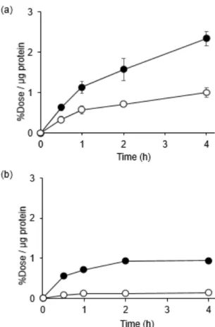 Figure  3.  Cellular  uptake  study.  Time-dependent  accumulation  of  (a)  [ 125 I]IIQP  and  (b)  [ 125 I]IB-IQP in BxPC3-luc (closed circles) and MCF7 (open circles) cells