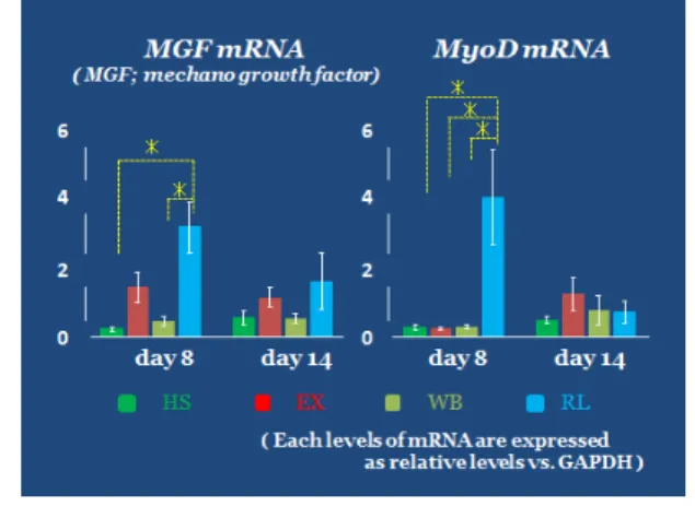 表 1 : Primers used for qRT-PCR. 