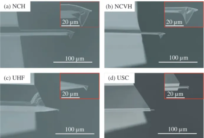 Figure 1. SEM images of the cantilevers used in this study.
