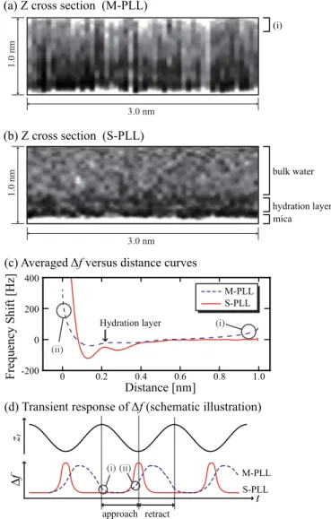 FIG. 4. (Color online) (a) and (b) Z cross sections derived from the 3D  f images obtained at a mica/water interface using (a) the M-PLL and (b) the S-PLL with a phase correction circuit