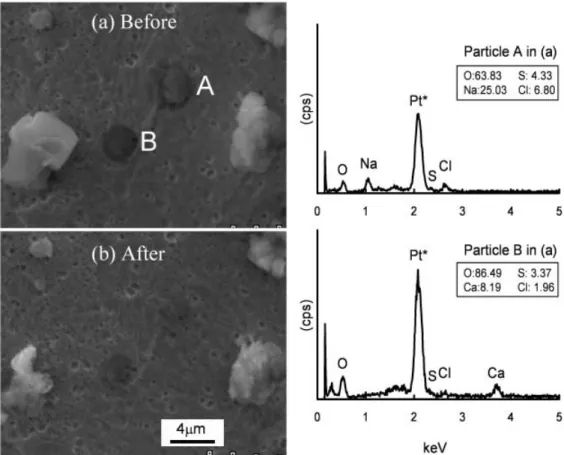 Fig. 4. Electron micrographs of particles before (a) and after (b) the water dialysis and X-ray spectra of particles marked in (a)