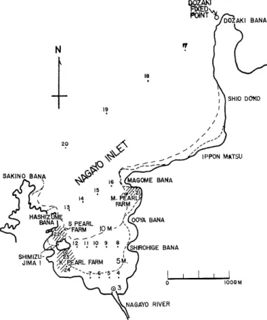 Fig.  1  Chart  of  Nagayo  Inlet.  The  numbered  dots  indicate  stations  for  survey  of  nontidal  movement;  the   circ-les  at  the  mouth  of  the  Nagayo  River  and  in  the  K  Pearl  Farm  are  stations  for  daily  observation  at  a  fixed  t