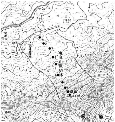 図 2 純良山断面C Z I .帯号は調査プロッ ト