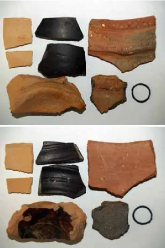 Fig. 10  Surface collection from the east side of the  road, south of Al Madam roundabout