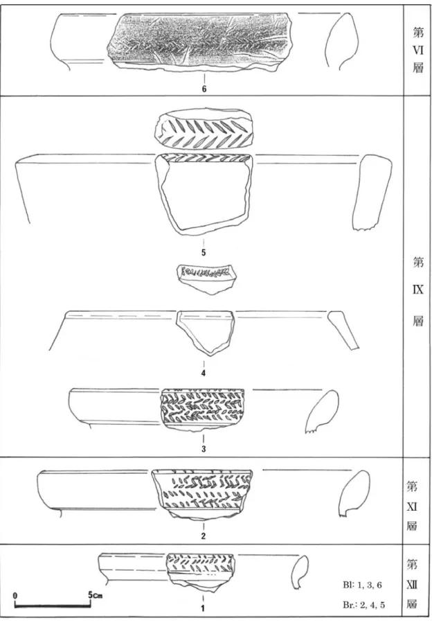 図 8　バガッグⅠ貝塚出土矢羽根状刻み目紋土器と出土層位