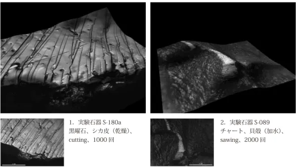 図 9 使用痕画像の 3D 表示1．実験石器 S-180a黒曜石、シカ皮（乾燥）、cutting、1000 回 2．実験石器 S-089 チャート、貝殻（加水）、sawing、2000 回3．実験石器 S-102チャート、シカ皮（乾燥）、scraping、2000 回4．実験石器 S-096チャート、イネ（生）、cutting、1000 回刃縁に沿って微細な線状痕が形成されている。線状痕は微細な起伏の比較的低所にも及んでいる。 剥離の稜線に沿って光沢面が形成されている。光沢面は非常に平坦で、ほとんど低所に侵