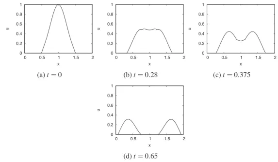 Figure 11: The numerical solutions of case 9