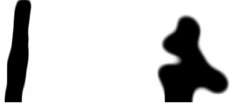 Figure 6 shows the shape after 500 time steps of numerical calculation.