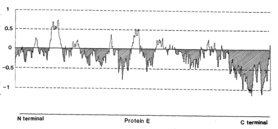 Fig. 5. Hydrophilicity curve of the E protein of JE virus (modified from Sumiyoshi