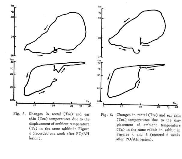 Figure 4 shows thermoregulatory responses of a rabbit of which bilateral PO/AH were lesioned one day before with the electrolysis