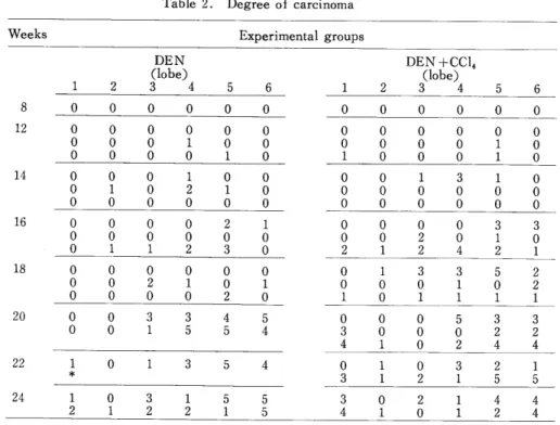 Table 2. Degree of carcinoma Weeks Experimental groups DEN (lobe) 3 8 12 li上 16 18 20 22 24 0000000001020311  20   00   00   00   00   00   10   00   00   00   1 4   5   60   0   00   0   01  0   00  1  01  0   02  1  00   0   00   2  10   0   02   3   00 