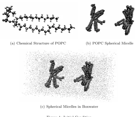 Figure 1 (a) shows the structure of POPC lipid. The POPC lipid has two hydrocarbon chains and one phosphatidylcholine (PC) head group [4]