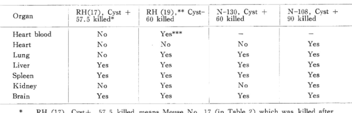 Table 4. Parasite detection from various organs of chronic infection mice with RH type by sub-inoculated method to fresh mice.