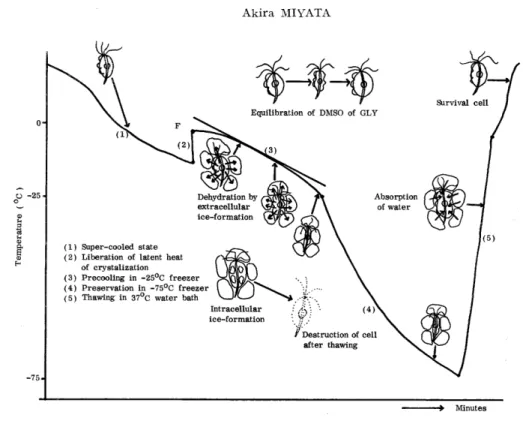 Fig. 10. Shematic explanation of the pre-cooling method.