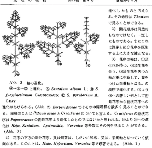 Abb.  3  軸の進化。