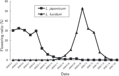 Fig. 1.  Phenologies of Ligustrum japonicum and L. lucidum.  Squares indicate  L. japonicum and triangles indicate L