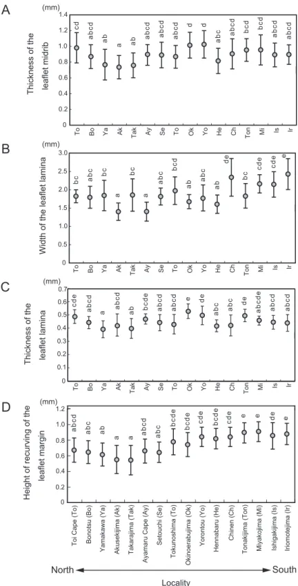 Fig. 3. Means and standard deviations of dimensions of the thickness of the leaflet midrib, leaflet lamina width, leaflet lamina thickness and the height of recurving of the leaflet margin in Cycas revoluta