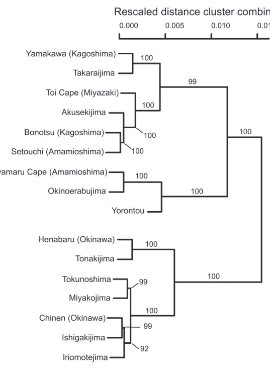 Fig. 4. Population relationships represented by a dendrogram in Cycas revoluta based on morphological charac- charac-teristics of leaflets