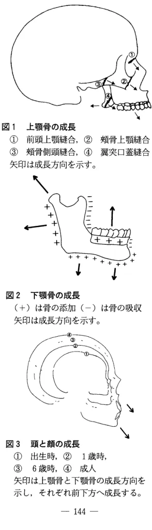 図 1 上顎骨の成長 ＼ ① 前頭上顎縫合,② 頬骨上顎縫合 ③ 頬骨側頭縫合,④ 巽突口蓋縫合 矢印は成長方向を示す｡ 図 2 下顎骨の成長 (+)は骨の添加 (‑)は骨の吸収 矢印は成長方向を示す｡ 図 3 頭と顔の成長 ＼ ① 出生時,② 1 歳時, ③ 6 歳時,④ 成人 矢印は上顎骨 と下顎骨の成長方向を 示 し,それぞれ前下方へ成長す る｡