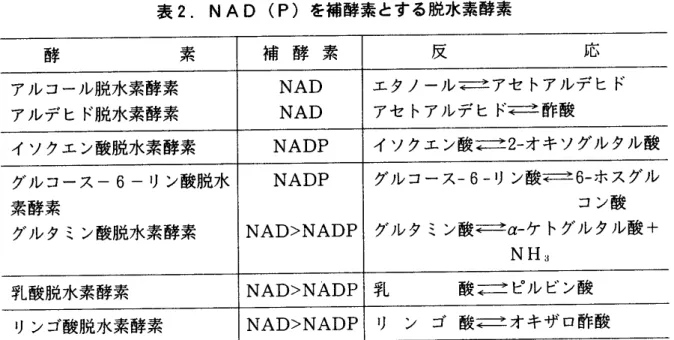 表 2. MAD (P) を補酵素 とす る脱水素酵素 酵 素 補 酵 素 反 応 アル コール脱 水素酵 素 NAD エ タノール言=三アセ トアルデ ヒ ド アルデ ヒ ド脱水素酵 素 NAD アセ トアルデ ヒ ド言=ヱ酢酸 イ ソクエ ン酸脱水素 酵素 NADP イ ソクエ ン酸 = 2 ‑オキ ソグル タル酸 グル コース ‑6 ‑ リン酸脱 水 NAD>NADPNADP グル コース ‑6‑ リン酸石= ±6 ‑ホス グル素酵 素コ ン酸 グル タ ミン酸脱水素酵素 グル タ ミン酸 岩 